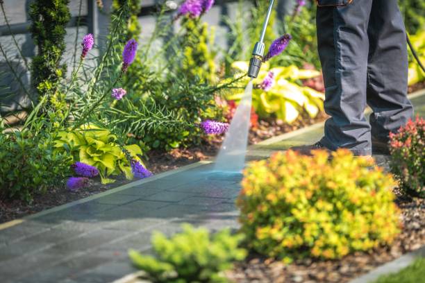 Professional Pressure Washing in Sea Girt, NJ