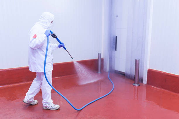 Best Restaurant Pressure Washing  in Sea Girt, NJ